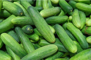 Cucumber