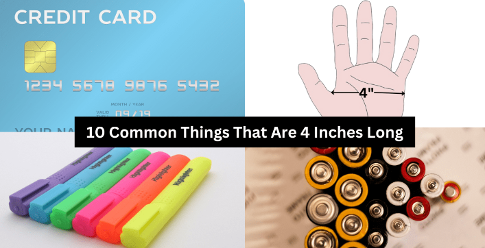 15 Commen Things That Are How Big is 4 Inches