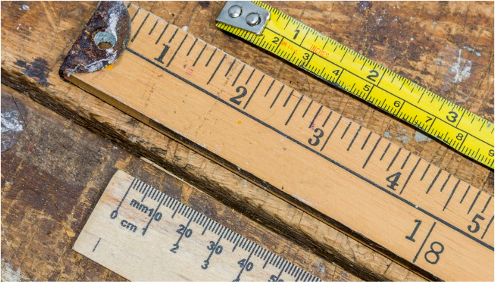 A Guide to Understanding 8 Inches: Size and Scale