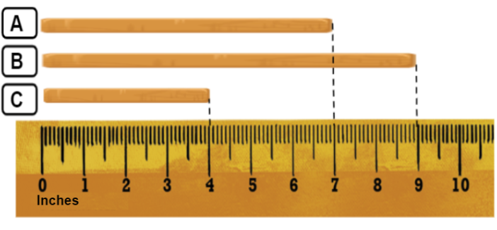 A Guide to Understanding 9 Inches: Size and Scale 2024