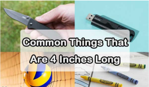 How Big is 4 Inches