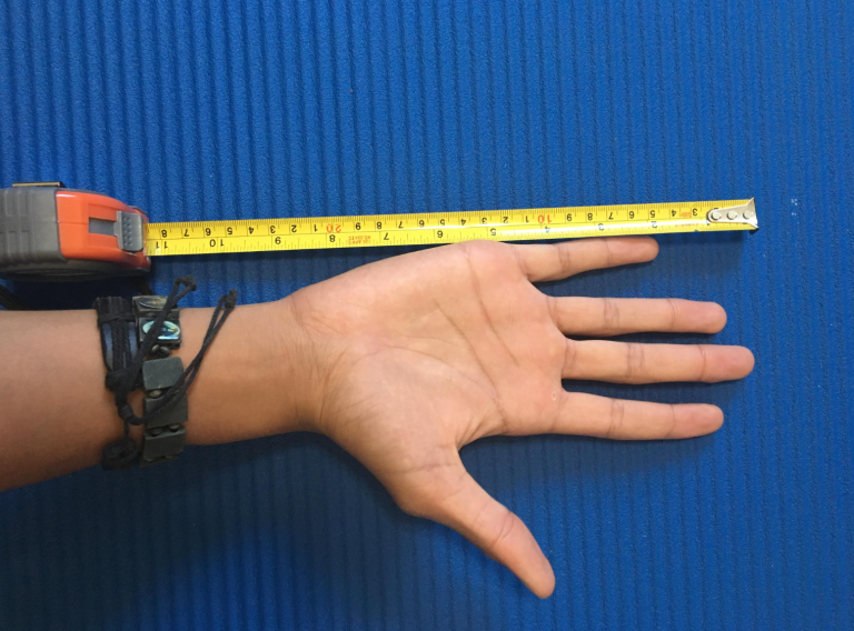 How Big Is 8 Inches 19 Common Things That Are 8 Inches how-big-is-8-inches-19-common-things-that-are-8-inches