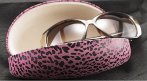 Sunglasses Case