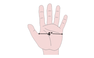 Width of an Average Hand 