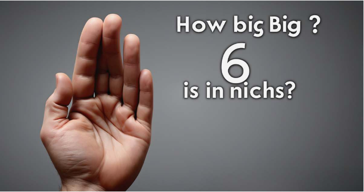 How Big Is 6 Inches? A Visual and Practical Guide