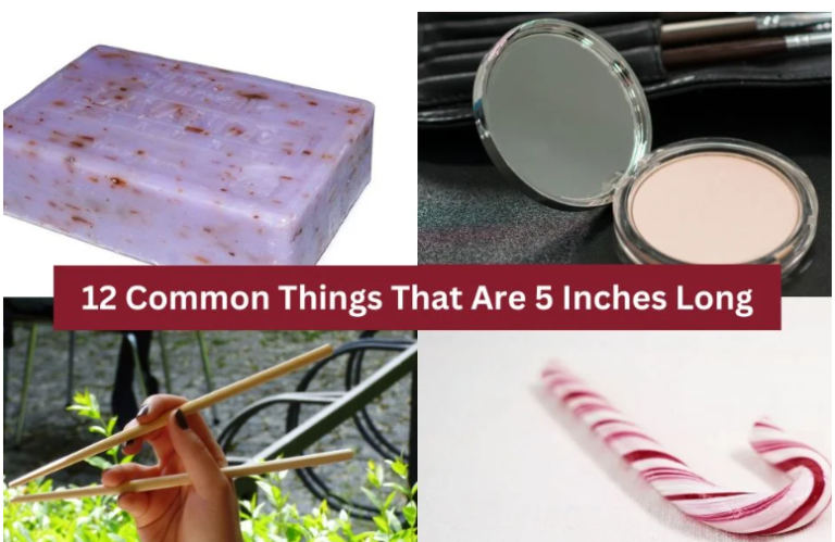 How Big Is 8 Inches 19 Common Things That Are 8 Inches how-big-is-8-inches-19-common-things-that-are-8-inches