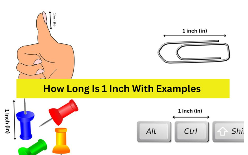 20 Common Things That Are  One Inch Long