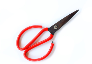 Garden Scissors