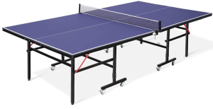 Ping Pong Table