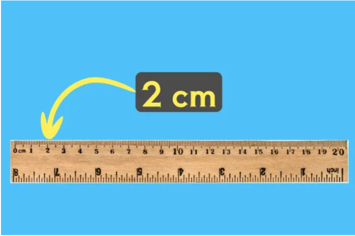 How Big Is 8 Inches 19 Common Things That Are 8 Inches