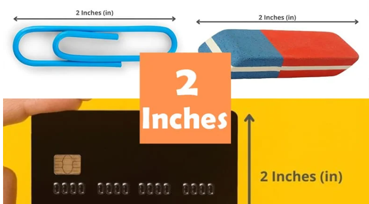 How Big is 2 Inches How Can You Measure It  2024