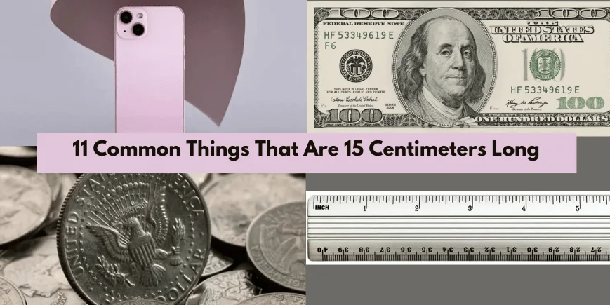 How Big is 15 CM 15 Common Things That Are 15 CM