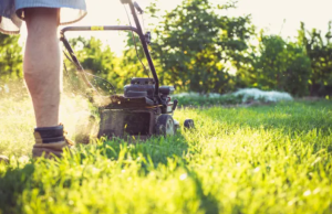 Push Lawn Mowers