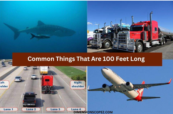 How Long is 100 Feet 20 Common Things That Are 100 Feet