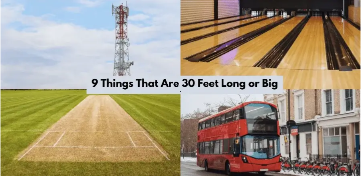 15 Common Things That Look Like 30 Feet