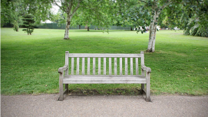 A Park Bench